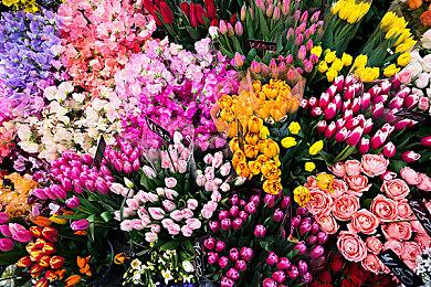 《消逝的光芒》开发商：PS5 Pro的关键功能是PSSR